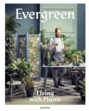 Evergreen. Living with Plants