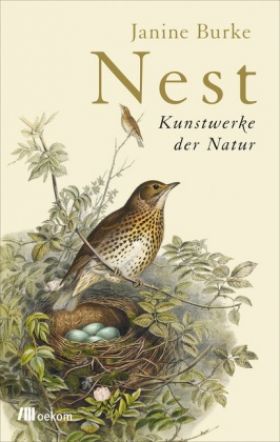 Nest. Kunstwerke der Natur